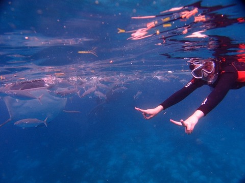 PB057780 (640x480)