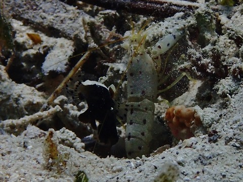 PA060133 (640x481)