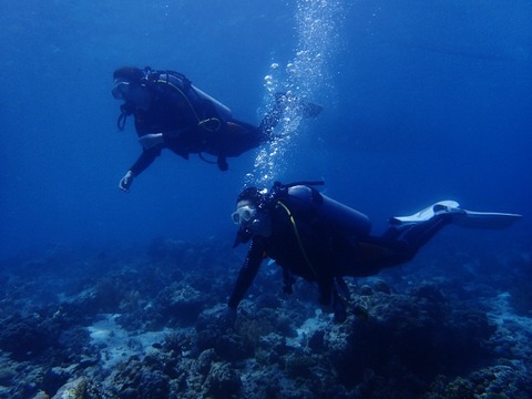 P5060636 (640x480)
