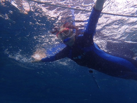 P1250010 (640x480)