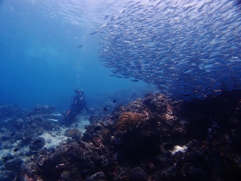 P1122996 (640x480)