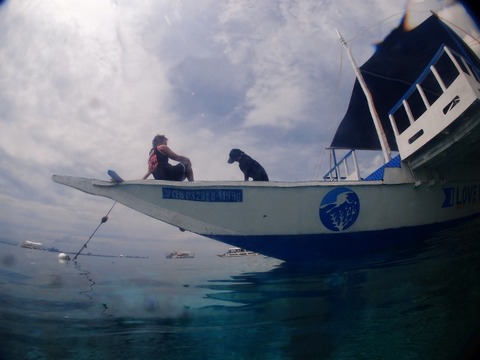 P1011666 (640x480)