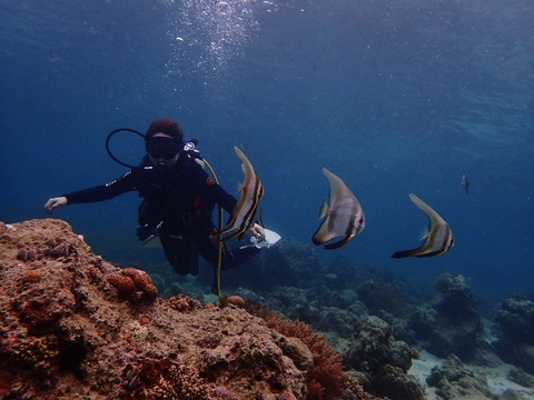 P1210006 (640x480)