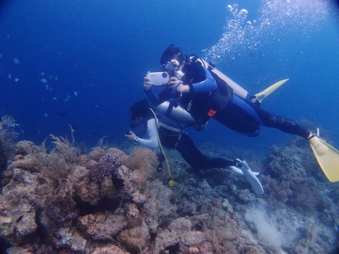 P1010642 (640x480)