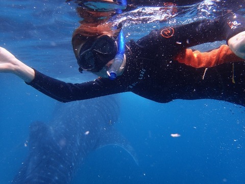 P4130161 (640x480)