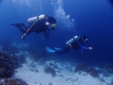 P1016480 (640x480)