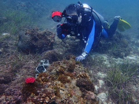 P1260167 (640x480)