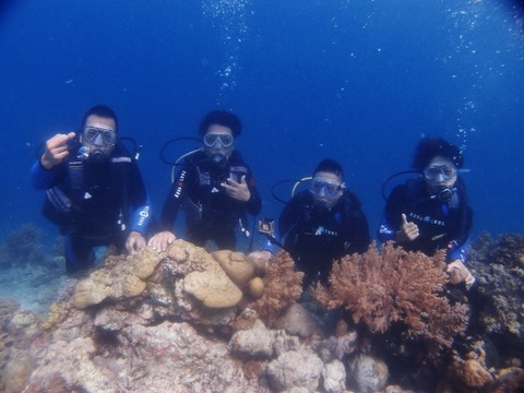 P1011746 (640x480)