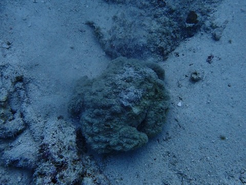 P1210036 (640x481)