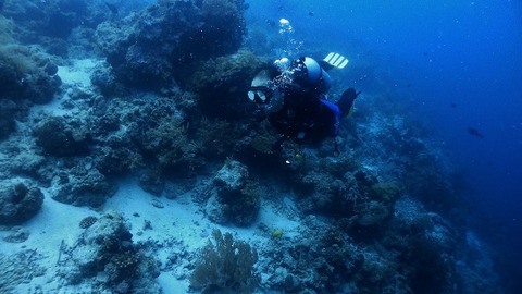 P3130235 (640x360)