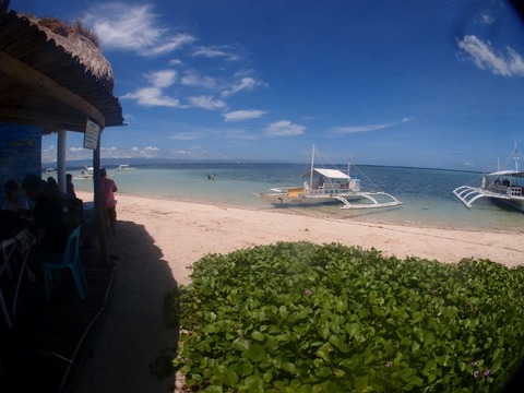 P2261353 (640x480)