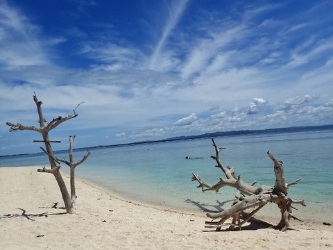 P3091893 (640x480)