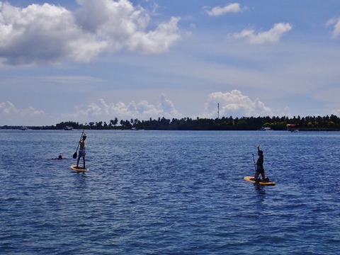 P8180376 (640x480)