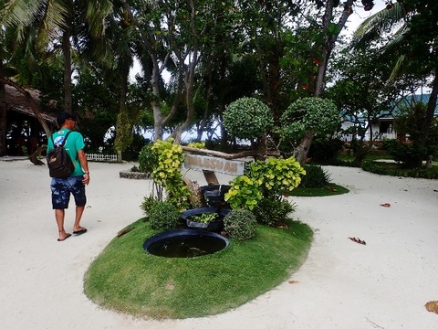P1310108 (640x480)