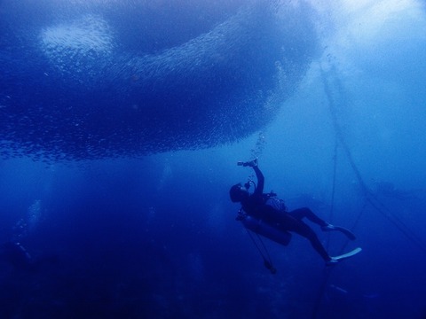 P1123079 (640x480)