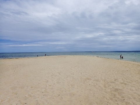 P2060017 (640x480)