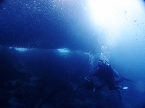 PA317628 (640x480)