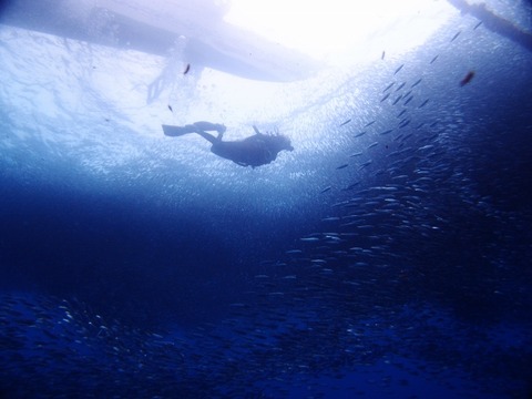 P6183190 (640x480)