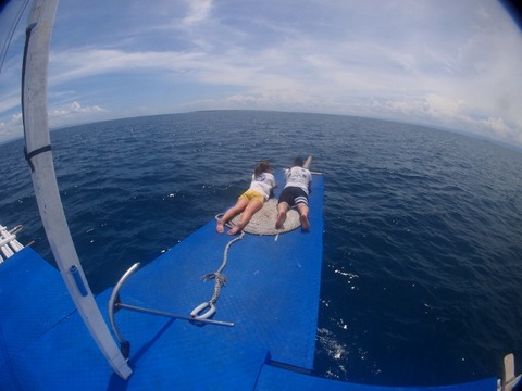 P9156368 (640x480)