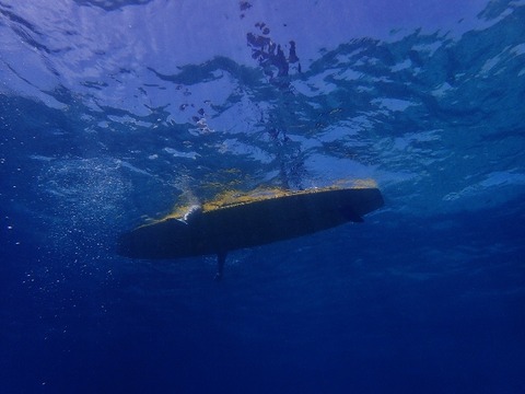 P6030262 (640x480)