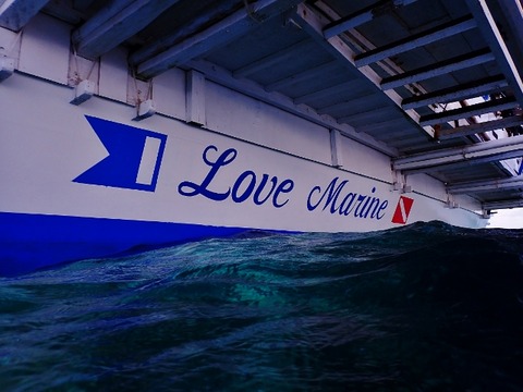 P2110048 (640x480)