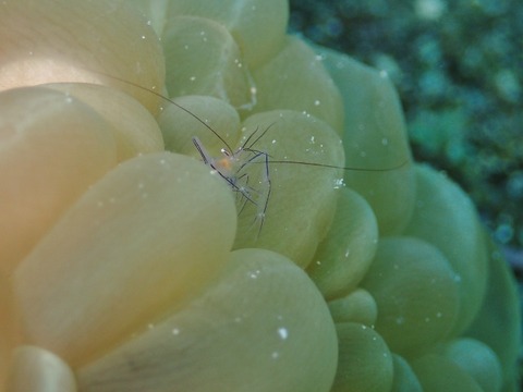 P1260135 (640x480)