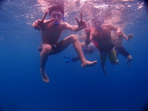 P3128905 (640x480)