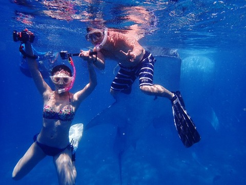 P8130267 (640x480)