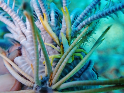 P1280049 (640x480)
