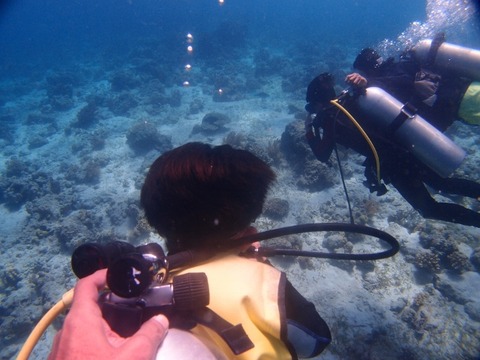 P3279319 (640x480)