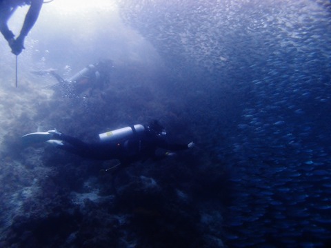 P1015539 (640x480)