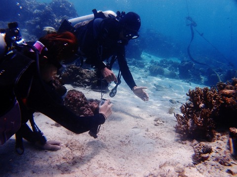 P1123005 (640x480)