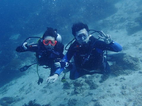 P1120033 (640x480)