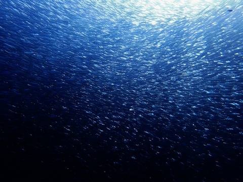 PA010923 (640x480)