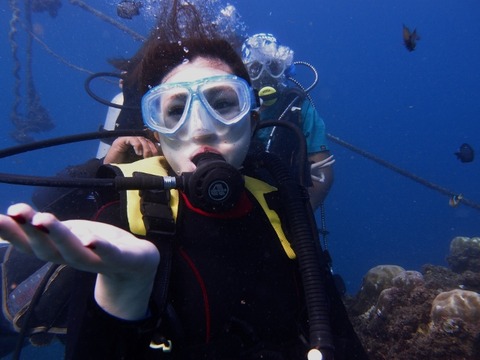 P2262575 (640x480)