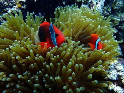P5101179 (640x480)
