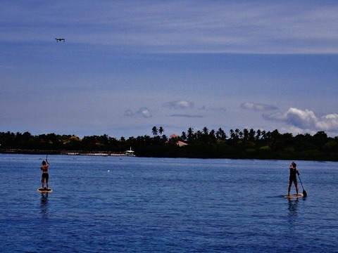 P9230059 (640x480)