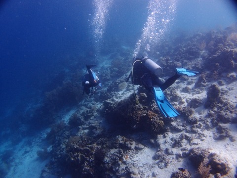PB284315 (640x480)