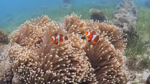 P8121418 (640x359)