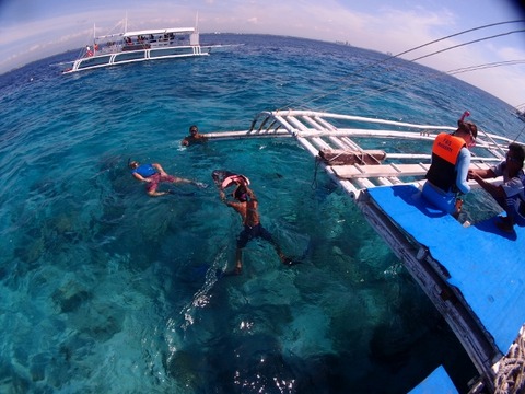 P7148379 (640x480)