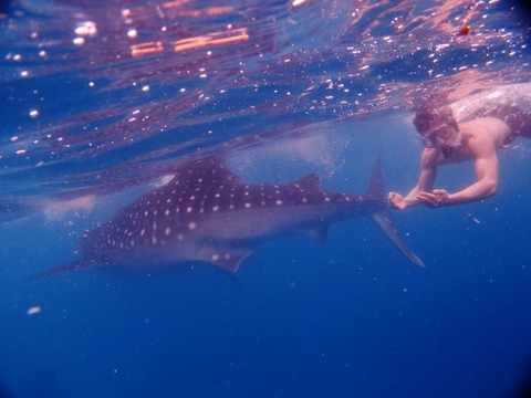 P3128885 (640x480)
