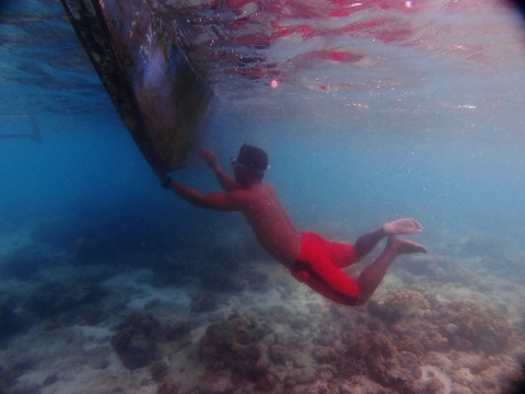 P1011649 (640x480)