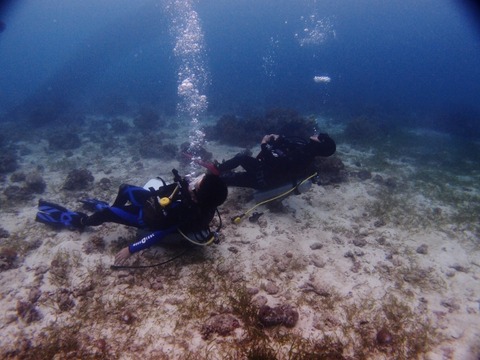 PA167481 (640x480)