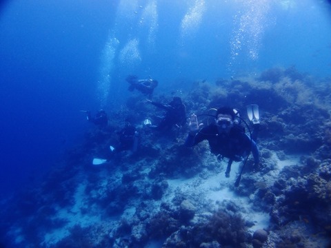 P1012173 (640x480)