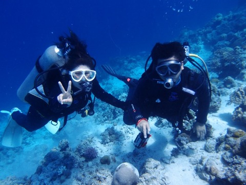 P5035400 (640x480)