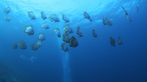 P8121283 (640x360)