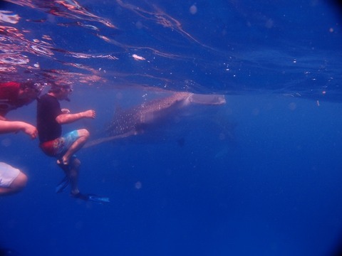 P5251221 (640x480)