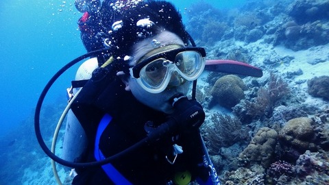 P3130238 (640x360)