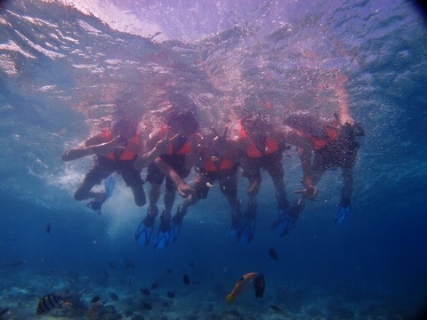 P3249272 (640x480)