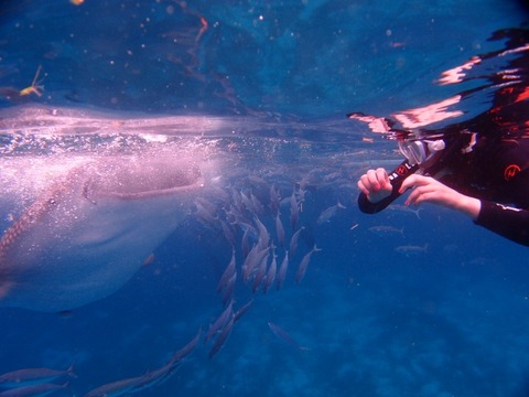 PB057781 (640x480)